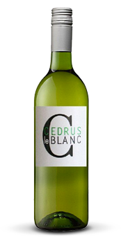 bouteille1