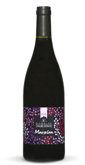 MALBEC-VINTAGE