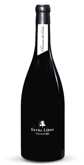 bouteille1